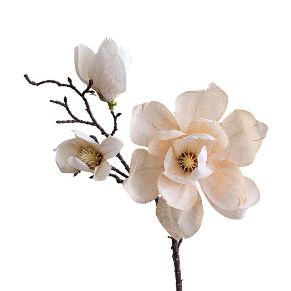 

Искусственные букеты магнолии Цветы, не требующие особого ухода Beige
