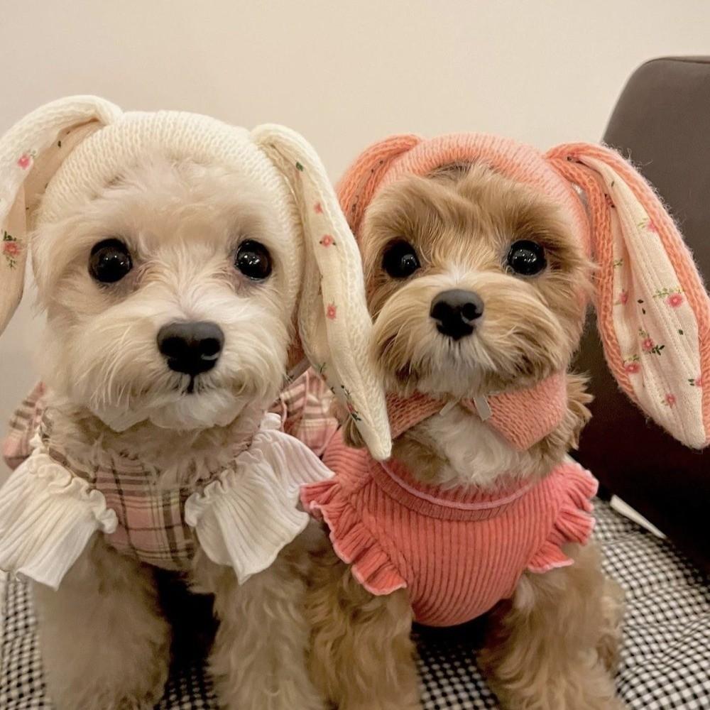 Cute Rabbit Ears Pet Hat Soft Elastic Floral Pattern Knitted Pet Hat Warm Comfortable Pet Dog Costume Small Medium Dog