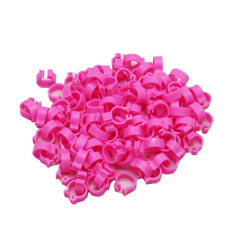 400 Pcs 8mm Bird foot clip ring Pigeon Training tools 10 Colors Bird Parrot Feeding Identification Foot Ring Animal Supplies