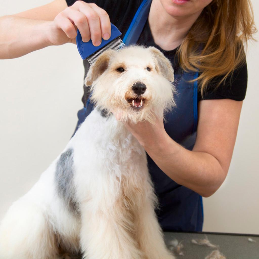 Flea Comb for Cat Dog, Pet Hair Removal Comb