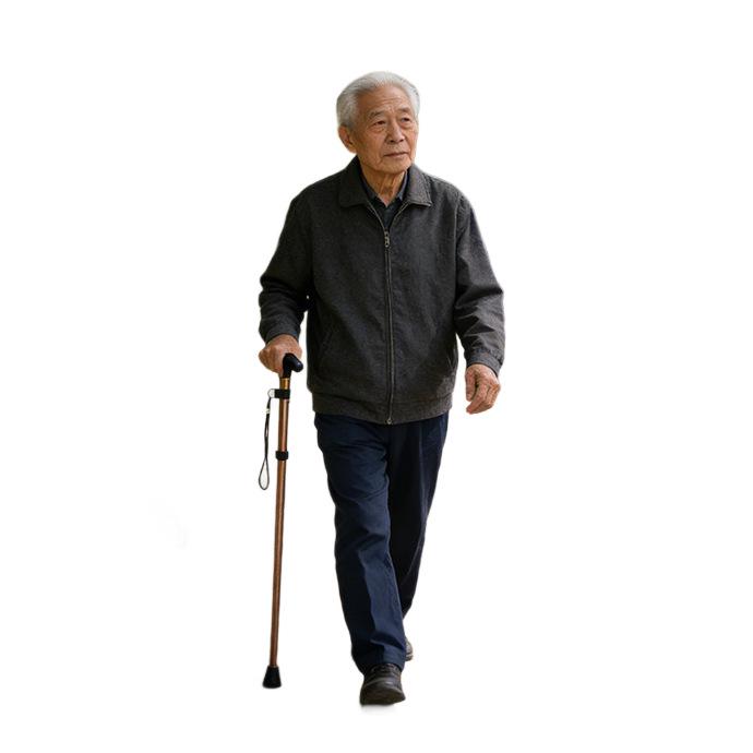 Collapsible Aluminum Trekking Poles for Hiking & Travel - Five-Section Telescopic Cane for Elderly Climbing