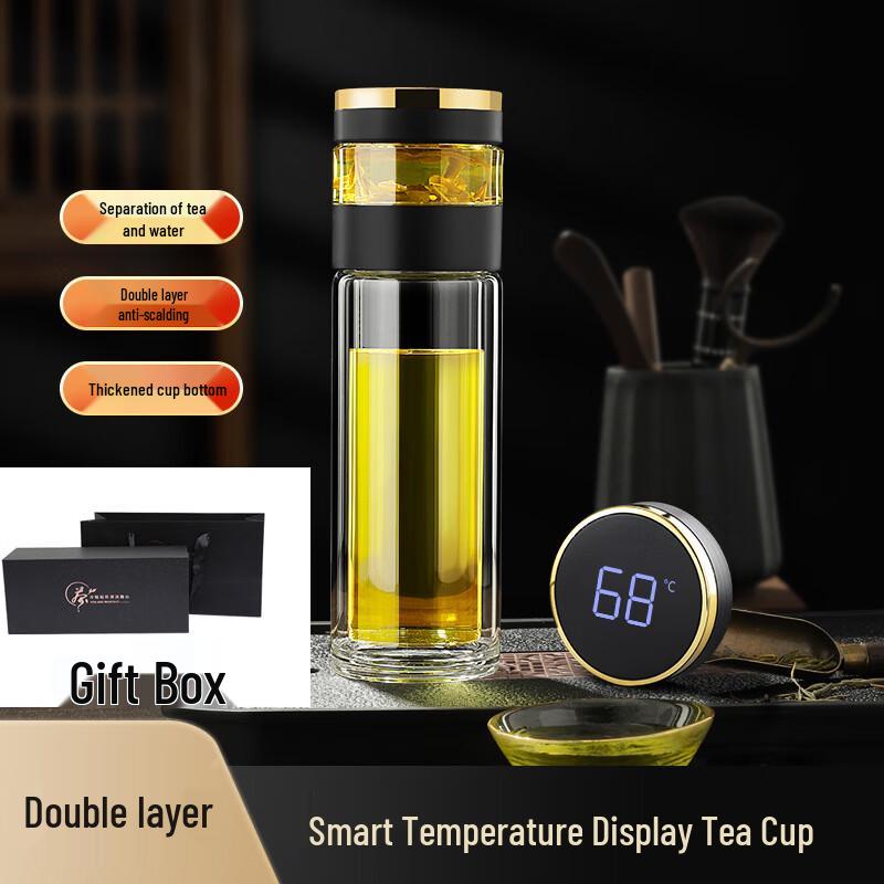 Portable Tea Infuser Double Wall Glass Bottle