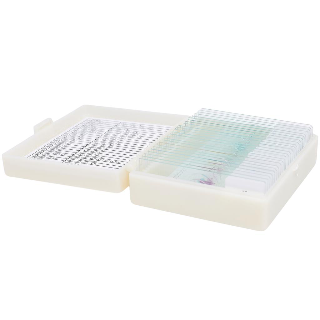 Set Of 25 Microscope Samples