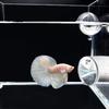 Aquarium Acrylic Betta Training Mirror Fish Tank Floating Mirror for Fish Betta Flowerhorn Cichlid Training Fish Tank Ornaments