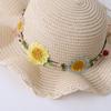 Wide Brim Straw Bag Cap Set Small Daisy Fisherman Hat Outdoor Sun Hat  Summer