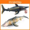 Dinosaur Marine Helicoprion Model For Kids Educational Pvc Realistic Toy