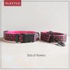 PLATTCO Durable Nylon Dog Leash & Collar Combo PDC303