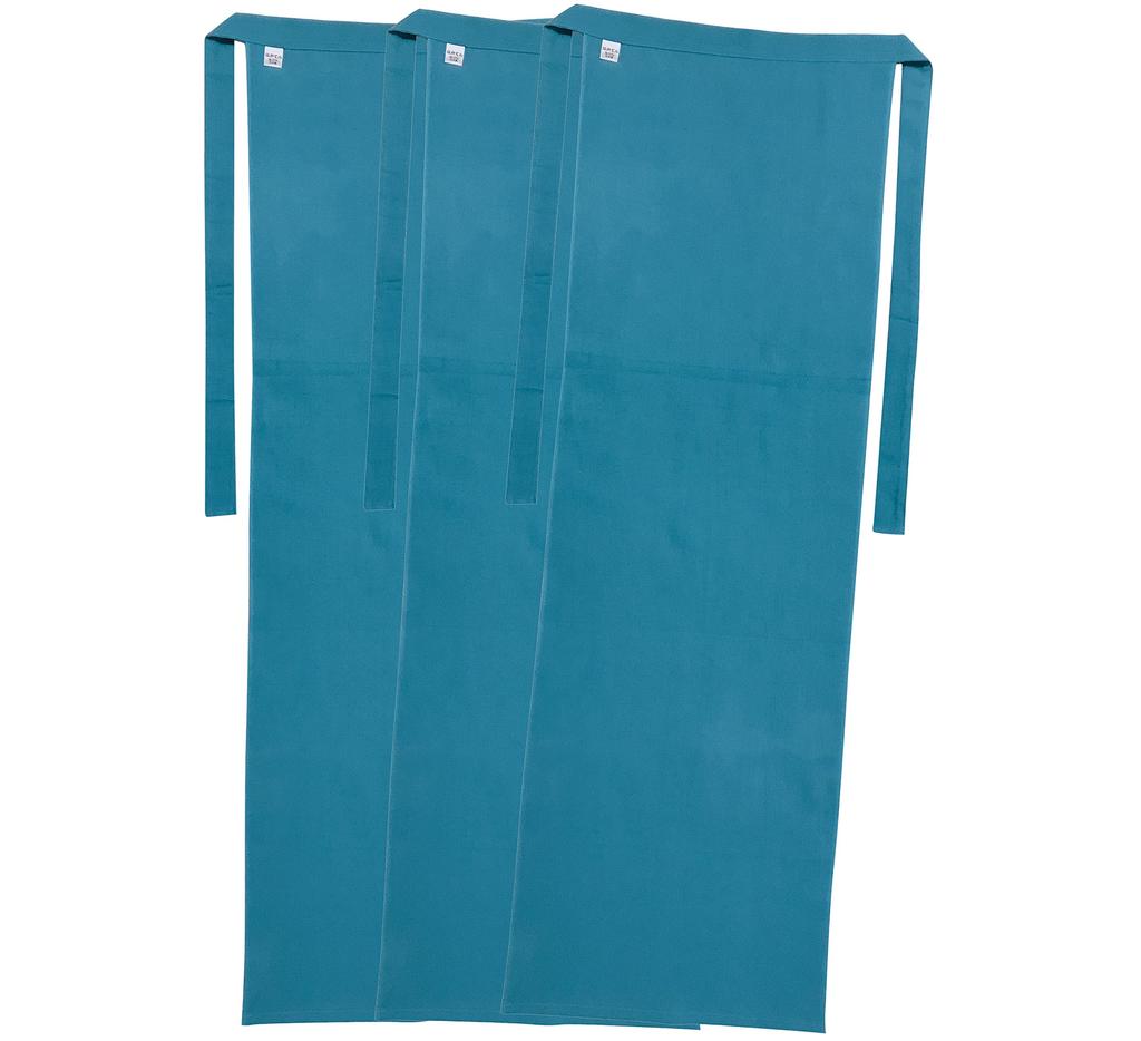 Edoten Men's Etchu Fundoshi (Loincloths) - Nashien-dyed, 100% Cotton, Made In Japan, One Size Fits All, Set of 3, Asagi-iro Plain (Turquoise)