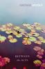 Between the Acts by Virginia Woolf Paperback Book 9780099982609