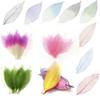 100 Pieces Mixed Magnolia Skeleton Leaves Card Scrapbook