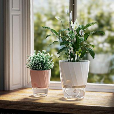 Self Watering Plant Pot Flowerpot with Clear Reservoir Planter with Wick Ropes And Drainage Holes