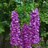 Artificial Wisteria Vine Indoor Outdoor Wall Hanging Fake Silk Flower Garland Home Wedding Party Festival Simulated Floral Decoration