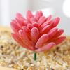 Micro Landscape Ornament Simulation No Watering Realistic Ornaments Flocking Texture Indoor