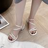 2025 new fashionable versatile thick-heeled sandals female exquisite beautiful fairy style high-end skirt women's sandals