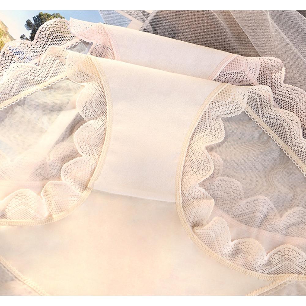 Sexy Pure Desire Transparenter Mesh Großer Slip Dreieck Damenunterwäsche