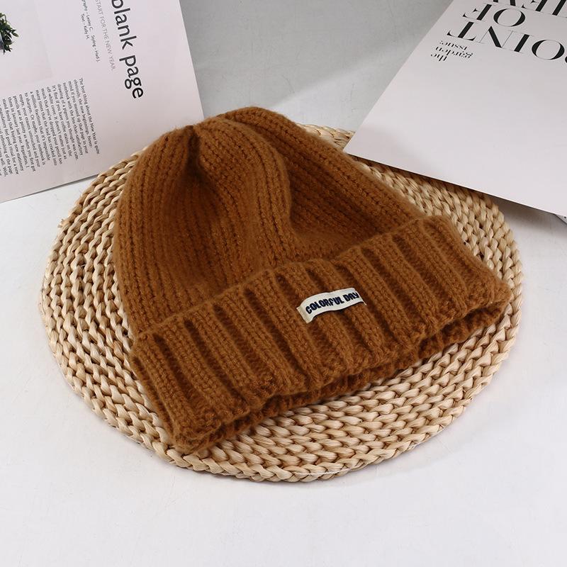 Women's Autumn and Winter New Big Head Circumference Warm Knitted Hat Korean Style Student Face Small Ear Protection Cold Hat Pile Hat