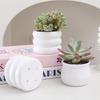 Handmade Creative Mini Plastic Flower Pot Ornament for Succulents