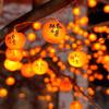 Oeny Solar Persimmon String Lights