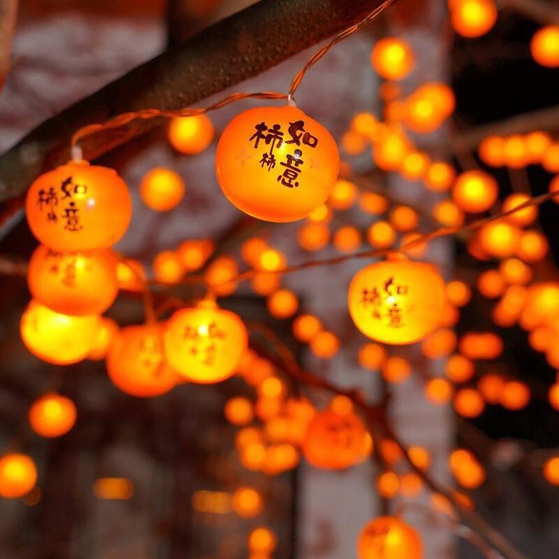 Oeny Solar Persimmon String Lights