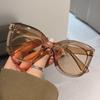 Oversized Butterfly Cat Eye Sunglasses New Trendy Fashion Female Lady Shades Colorful Popular  Designer Eyewear for Women