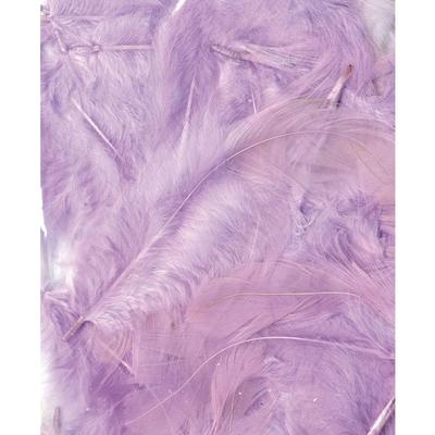 LIGHT MAUVE FEATHERS - 12 CM