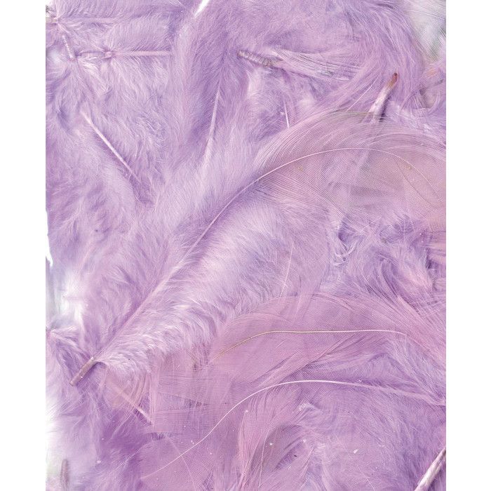 LIGHT MAUVE FEATHERS - 12 CM