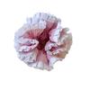 Große große Scrunchie Haaraccessoires für Frauen Mädchen koreanische Bänder elastisch führend Mode beliebt Erwachsene K-Pop neu im Geschenk Vintage