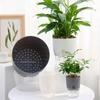 Self-absorbing Water Self-absorbing Water Flower Pot Lazy Flower Pot  Living Room