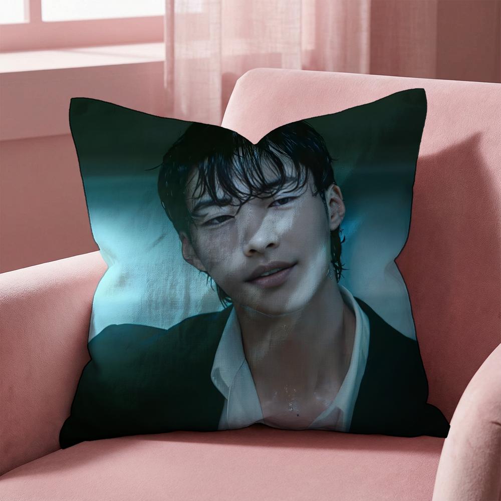 W-Woo Do H-Hwan Cushion Cover Multi-Scene Pillow Cover for Home & Car - Reversible, Soft & Durable for Daily Use