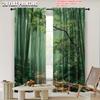 Set Of 2 Flat Printing Scene Curtains Polyester Forest Path Without Electricity Versatile Outdoor Home Garden Curtain
