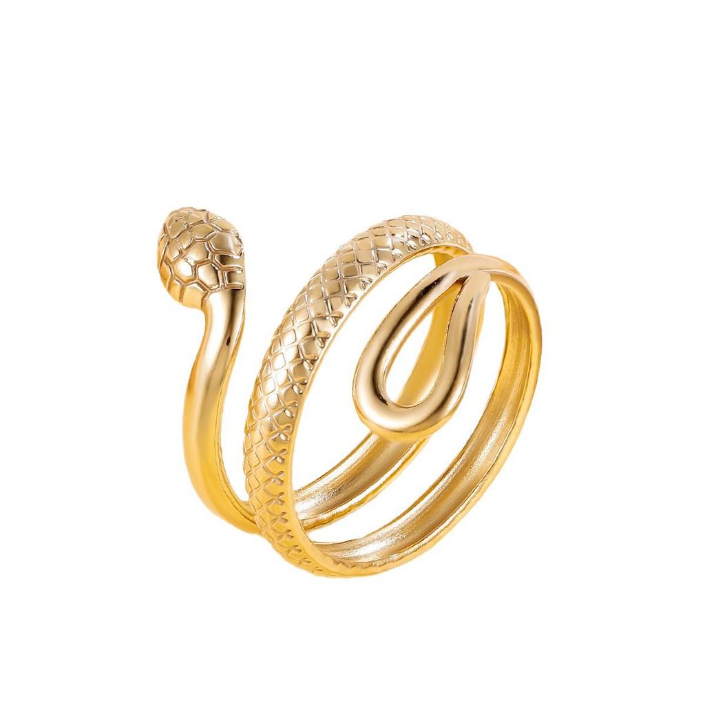 Personalized Stainless Steel Retro Snake Ring - Punk Boyfriend Style