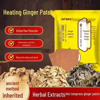 Ginger & Mugwort Heating Pain Relief Patch for Neck, Shoulder, Waist, and Legs - Bulk Bagged