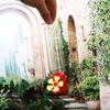 Bird Feeding Bottle Plastic Hummingbird Feeders Removable Transparent Hanging Bird Feeders Leak-proof with Hanging Wires Yard