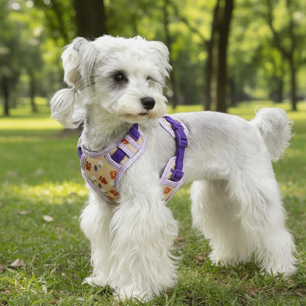 Cartoon Pattern Dog Harness Leash Set Escape-Proof Pet Walking Rope Dog Harness Vest Daily Use