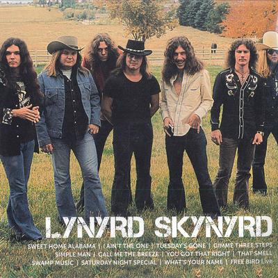 LP Record LYNYRD SKYNYRD - Icon B003269101 Geffen Records 2020 US Rock