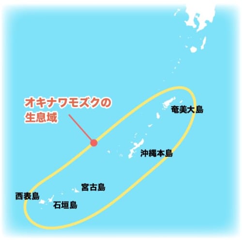 Amiu Sea Honey Fucoidan Toothpaste 100g Natural Peppermint