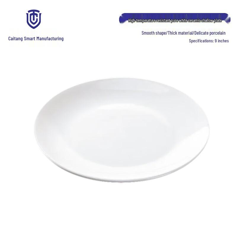 European Style White Ceramic Dinner Plate