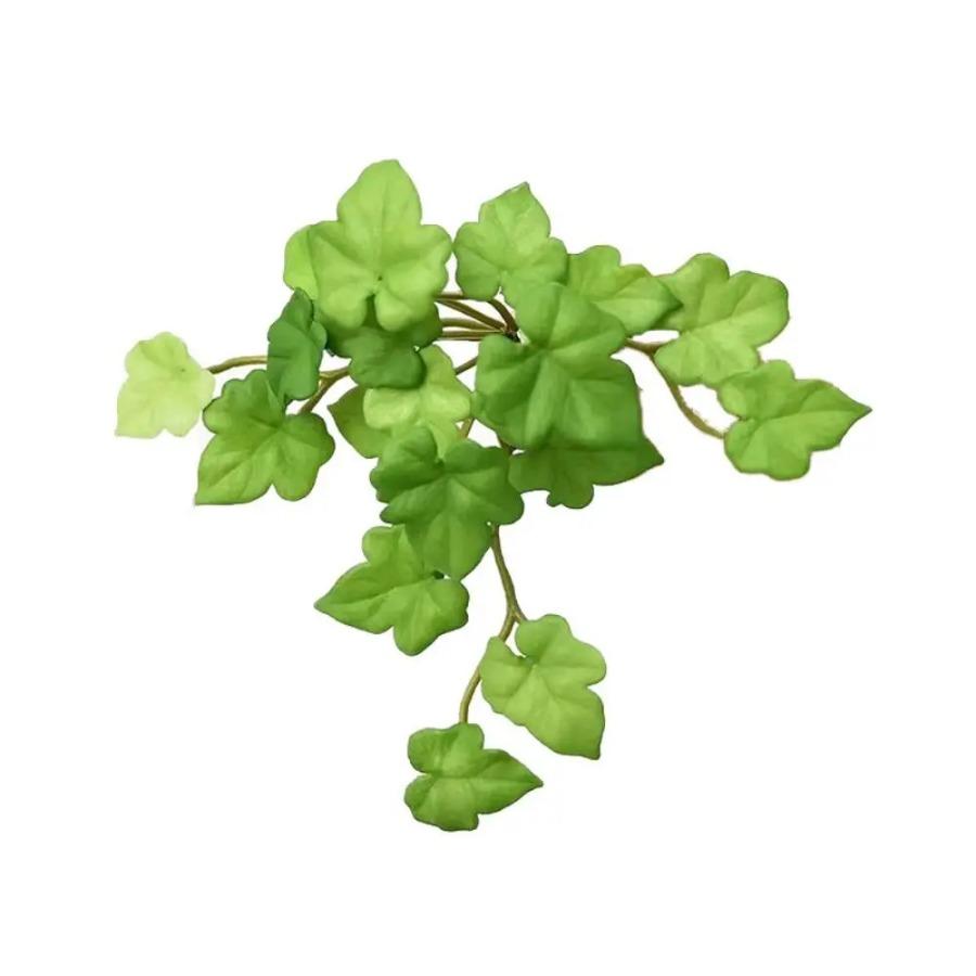 

Мягкий клей Искусственное растение Зеленые растения Стена Искусственная Медная монета Трава Дом Офис Настенный Суккулентные растения Листья Дом Офис