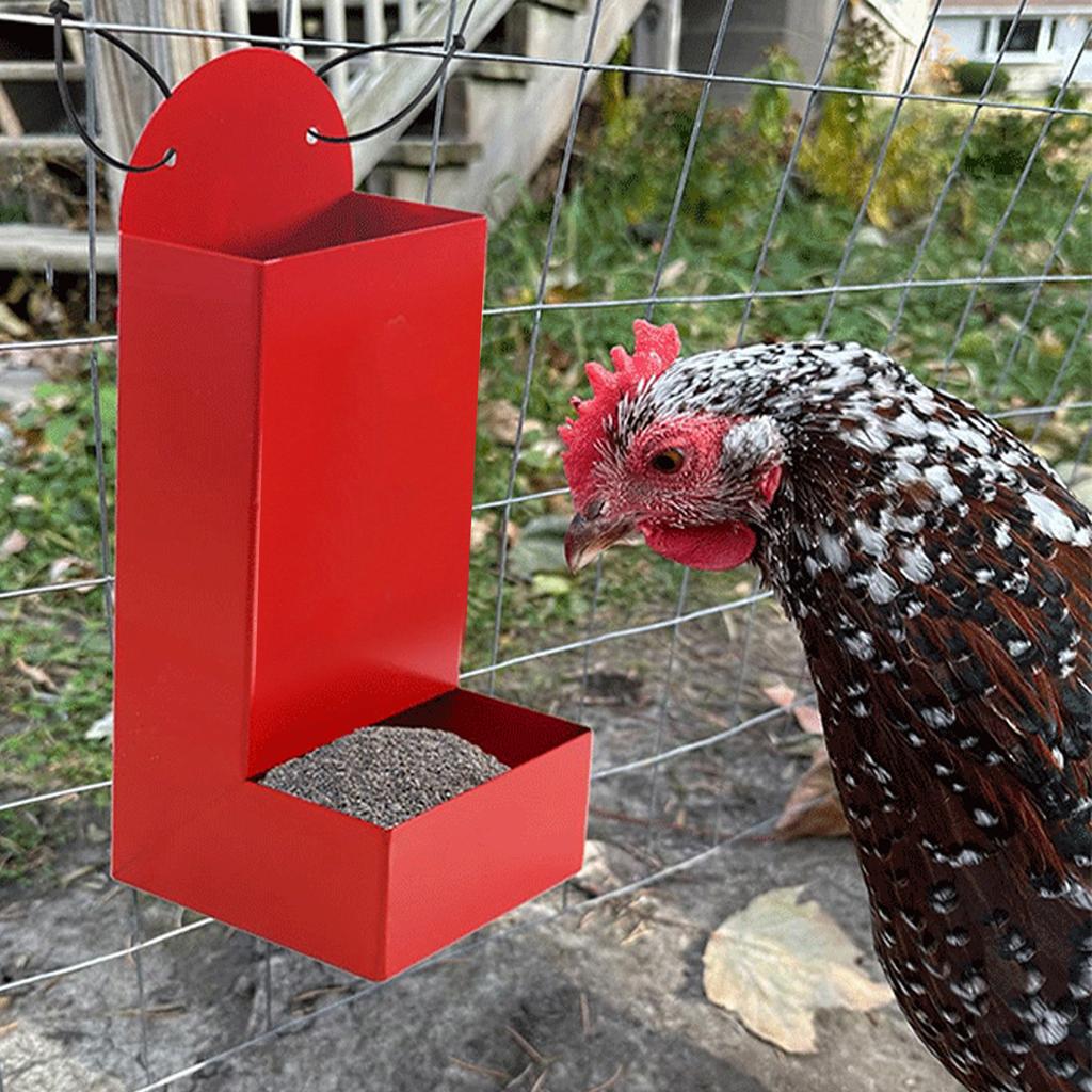 Chicken Feeder Set Carbon Steel Chicken Oyster Shell and Grit Feeder Poultry Feeding Container for Chicken Coop Accessories