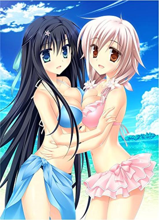 

PriministAr Completely Limited Edition Original special pass case PS Vita -Primini Star- ([Bonus] soundtrack, included) -