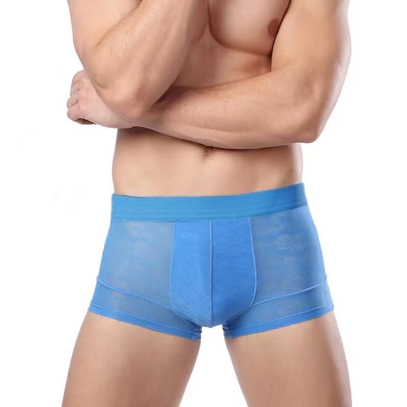 Pánské prodyšné průhledné boxerky Sexy spodní prádlo kalhotky kalhotky