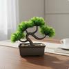 Artificial Fir Bonsai Indoor Decoration Potted Authentic Home Decor for Living Room,