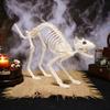 Halloweenská dekorace kočky kostry Hororová plastová kostra koťátka Kostní dekorace s pohyblivou čelistí Krk Ocas pro Halloweenskou párty Domácí dvorní dekorace
