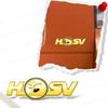 New 3D Metal Logo Emblem Decor Car Fender Side Sticker For Holden HSV Astra Commodore VT VX VU VY HSV Cruze Rodeo Astra