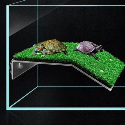 Reptiler – Terrarium