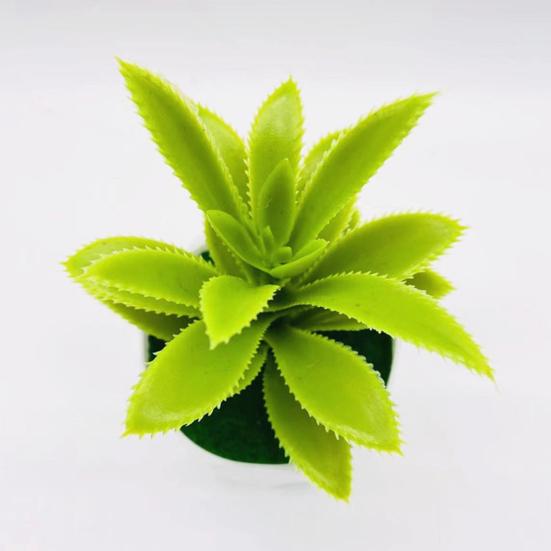 Plante en pot de simulation attrayante, longue durée, 2 couleurs, résistante aux UV