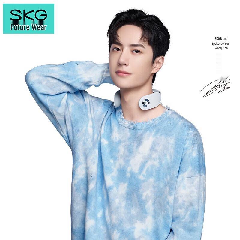 SKG Electric Pulse Neck Massager