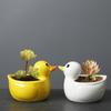 Cute Duck Flower Pot Succulent Pot Ceramics Planter Home Decor Desktop Ornaments Bonsai Plant Pot Garden Decoration