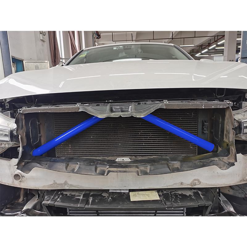 2 Peças Faixas de Acabamento da Grelha Dianteira Capa Adesivos de Moldura Para BMW F10 E60 F30 F32 F20 F22 F06 F02 F25 F26 G20 Série 1 2 3 4 5 6 7