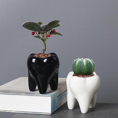 Neuer Kreativer Keramik-Sukkulenten-Blumentopf Weiß Mini Kunstblume Kleine Pflanze Zahnbürsten-Blumenhalter Mit Löchern